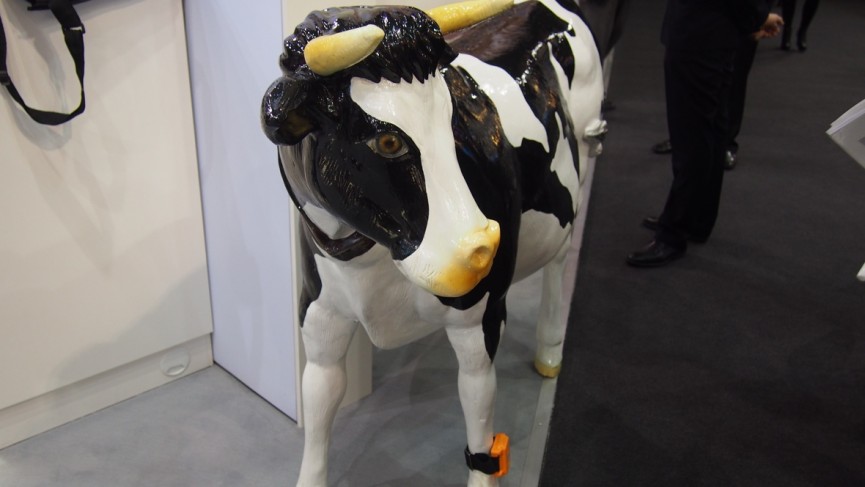 ​Best wearables of MWC 2016