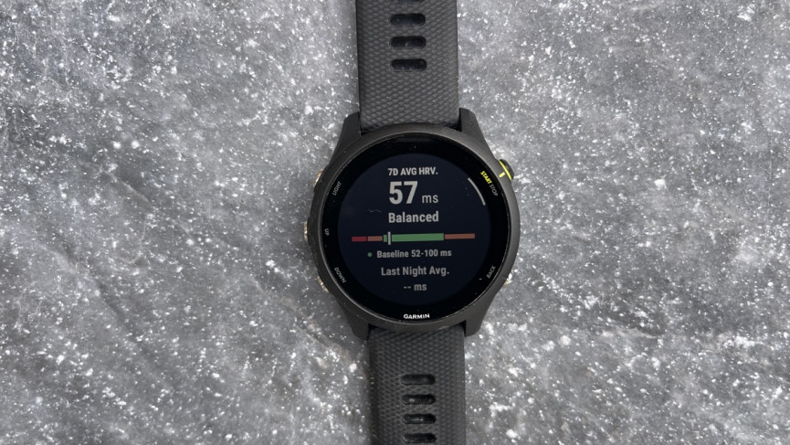 Garmin Forerunner 255 review