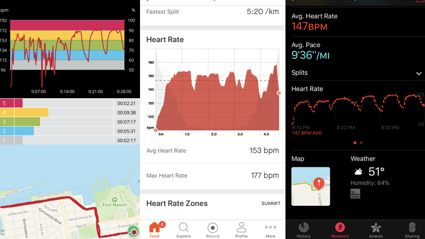 Fossil Sport review