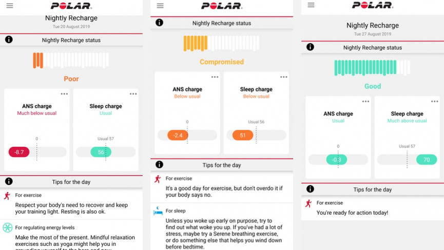 Polar Ignite review