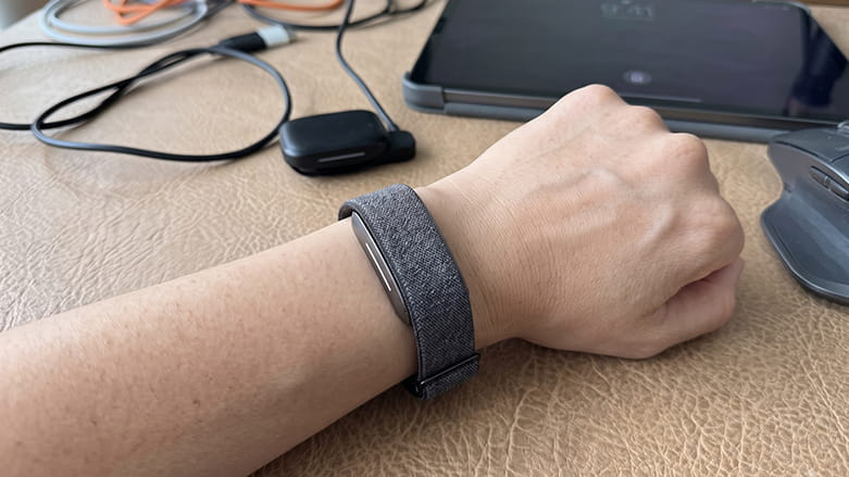 Hume Band 2.0 on a wrist