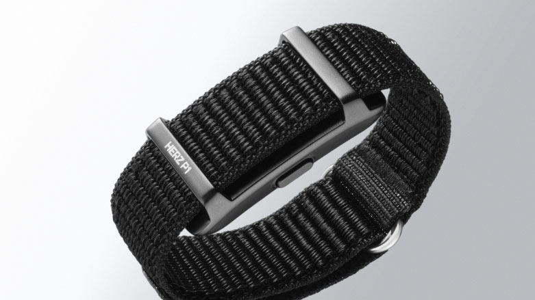 herz p1 band