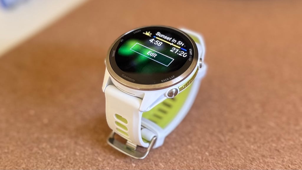 garmin edit glances