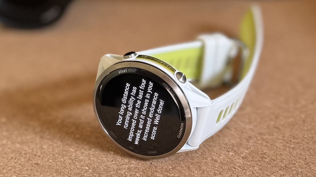 garmin-endurance-insight