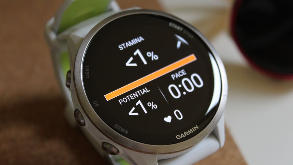 garmin-stamina-data-field