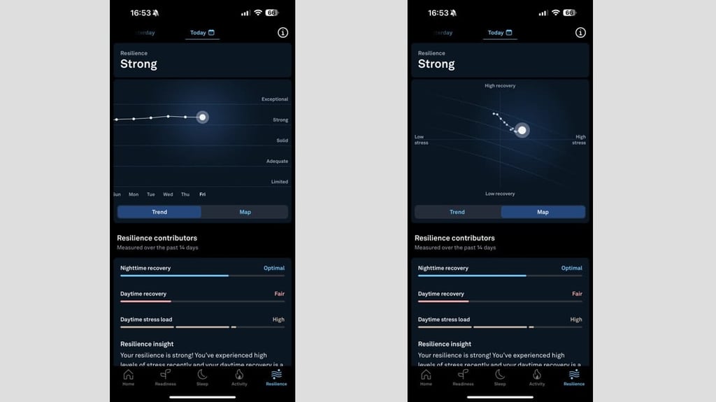 What is Oura Stress Resilience