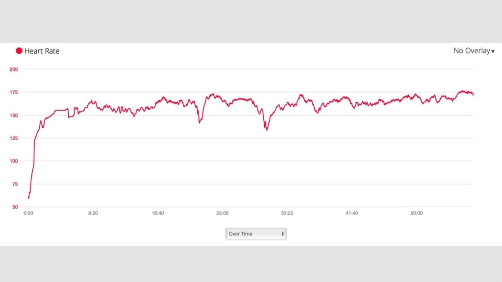Garmin HR data