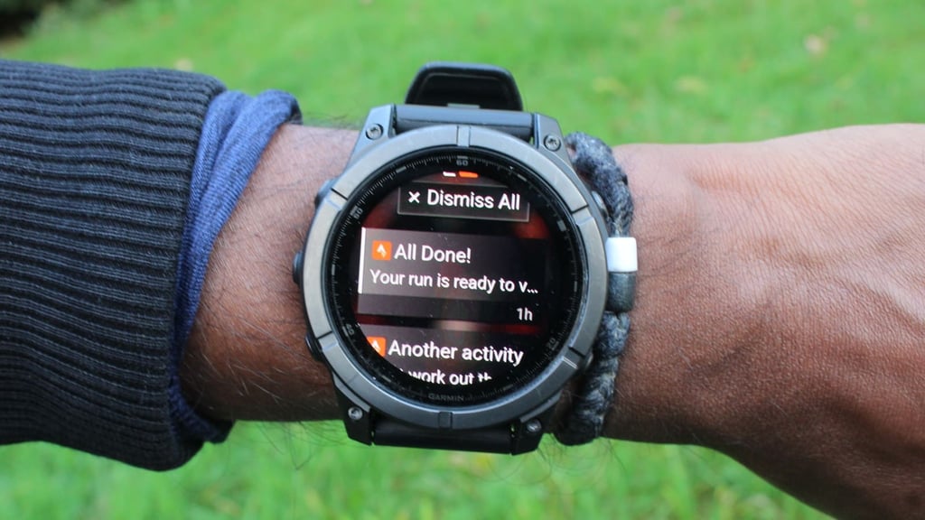 Fenix E options menu
