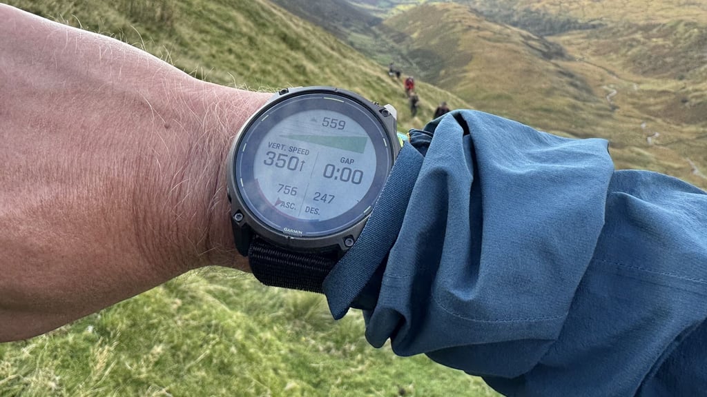 Garmin Enduro 3