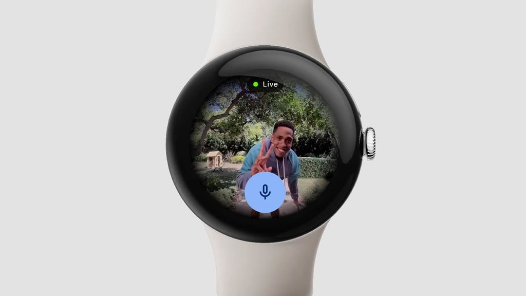 Fitbit December Pixel Drop