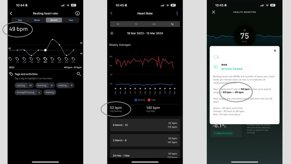 Oura Ring Gen 3 resting heart rate