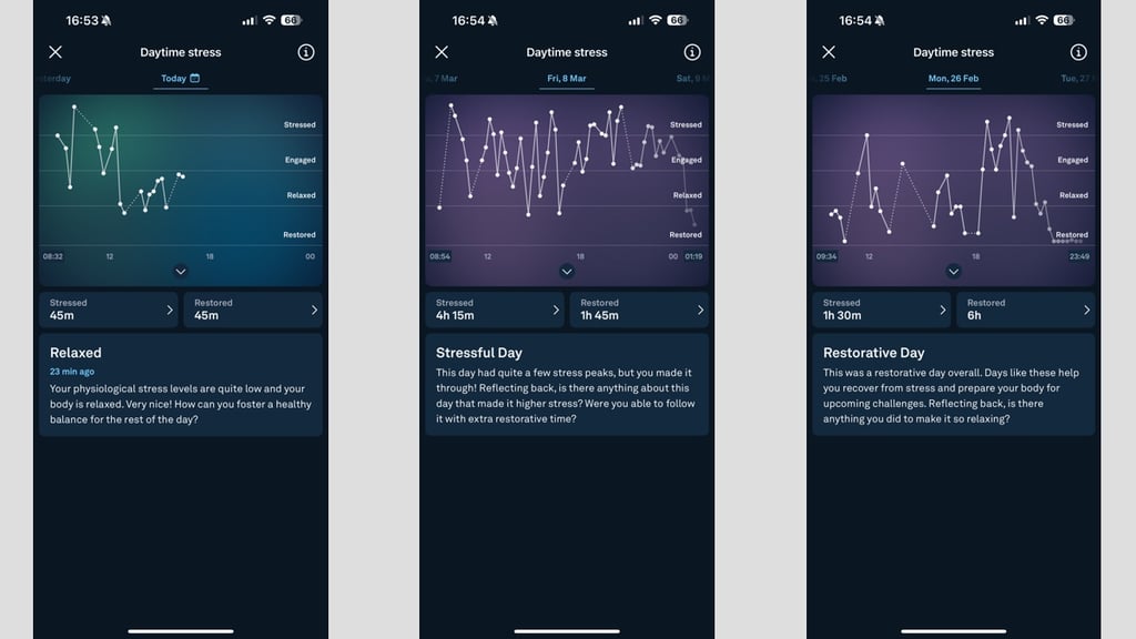 Oura Ring Gen 3 daytime stress