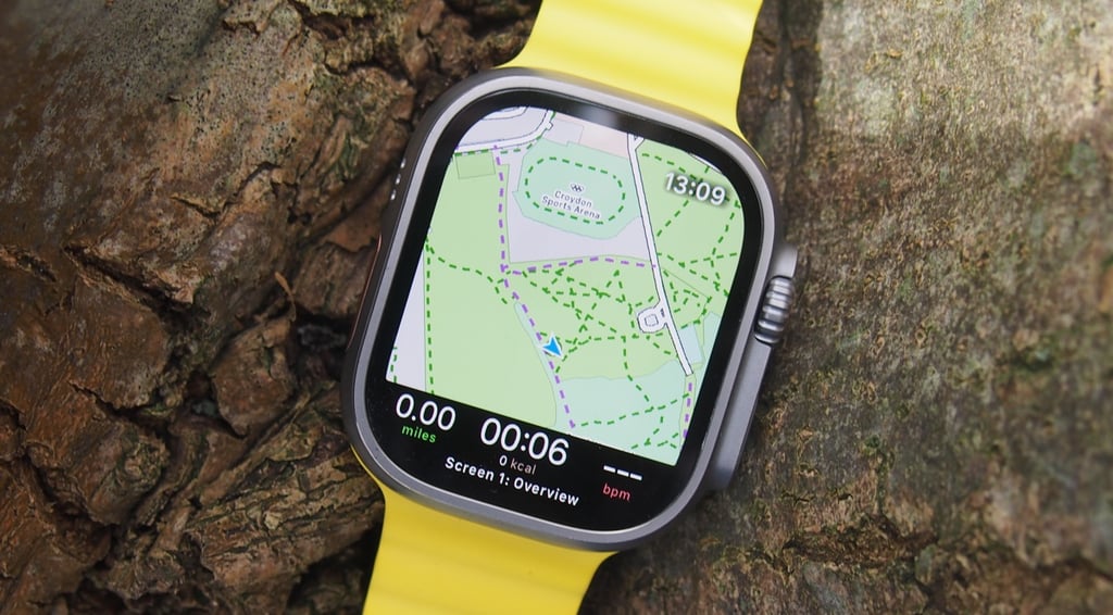 Best app for hiking: WorkOutDoors