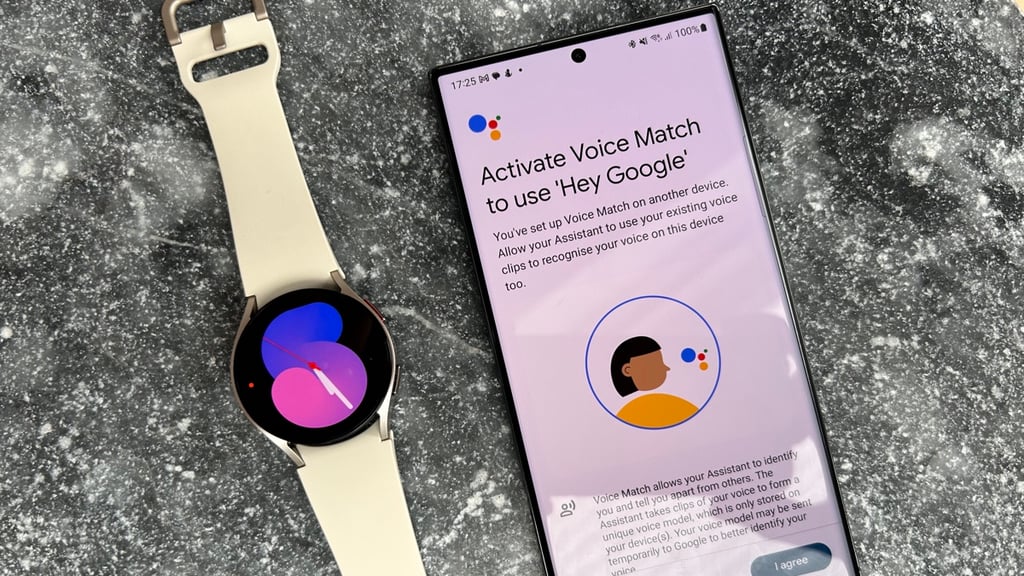 Voice match