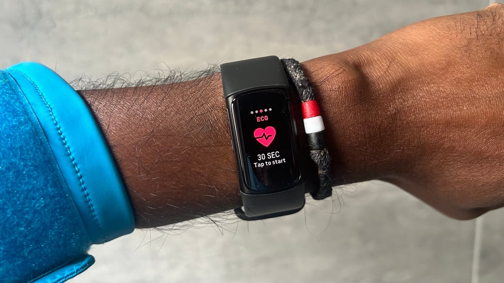 Fitbit Charge 6  step data