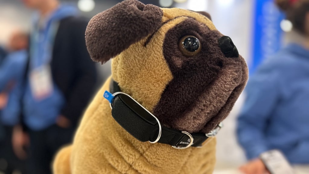 CES 2024: The best wearable tech from the Las Vegas show photo 7
