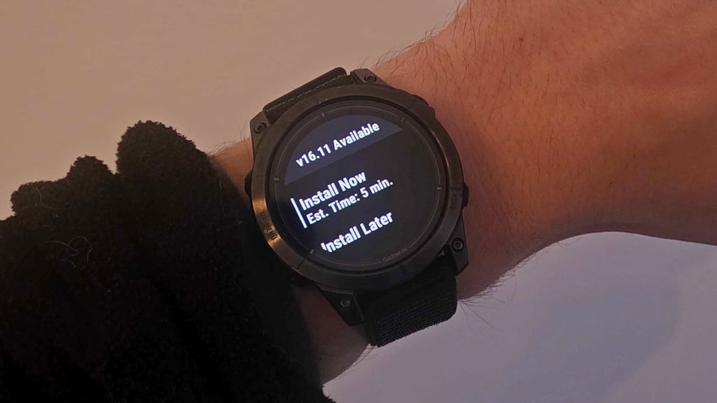 garmin beta update
