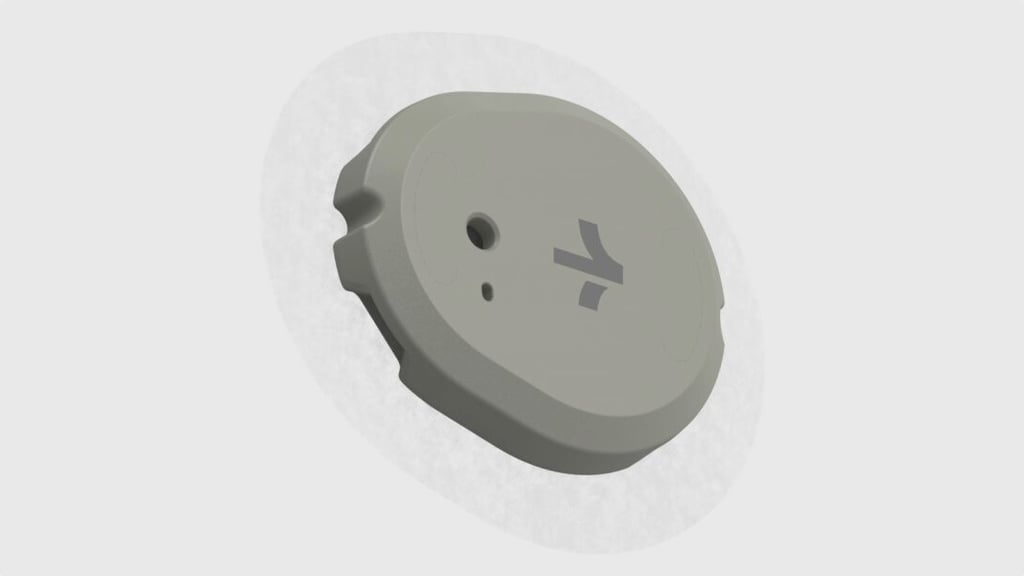 Stelo 2