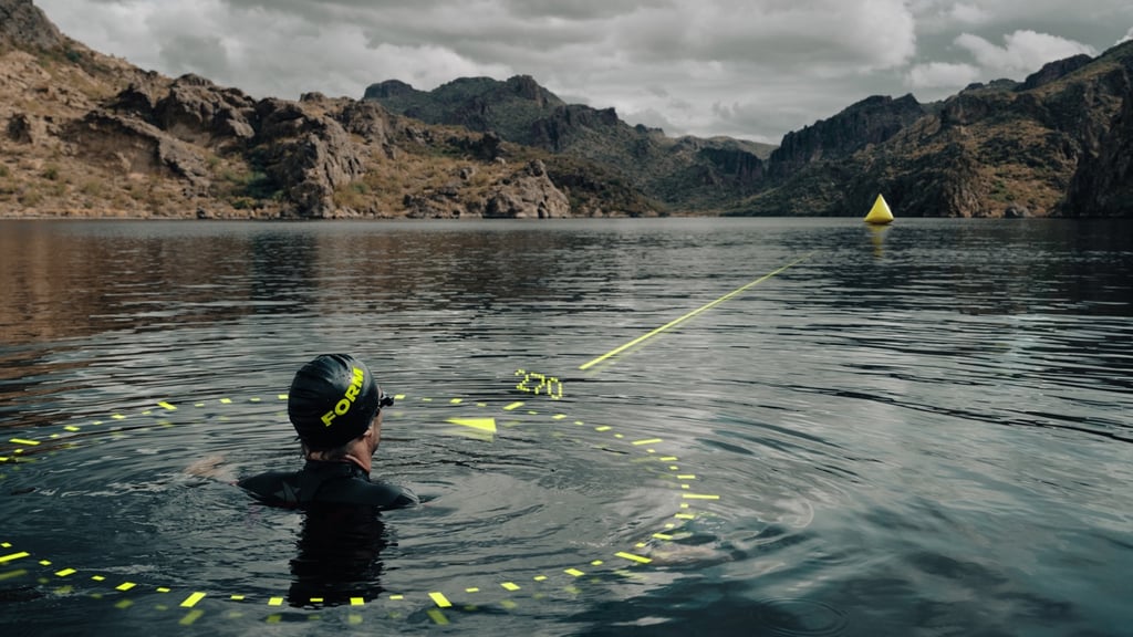 form smart swim 2 compass