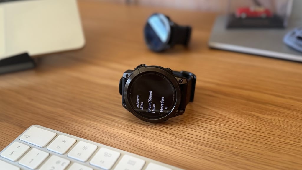 Garmin units of measurement watch