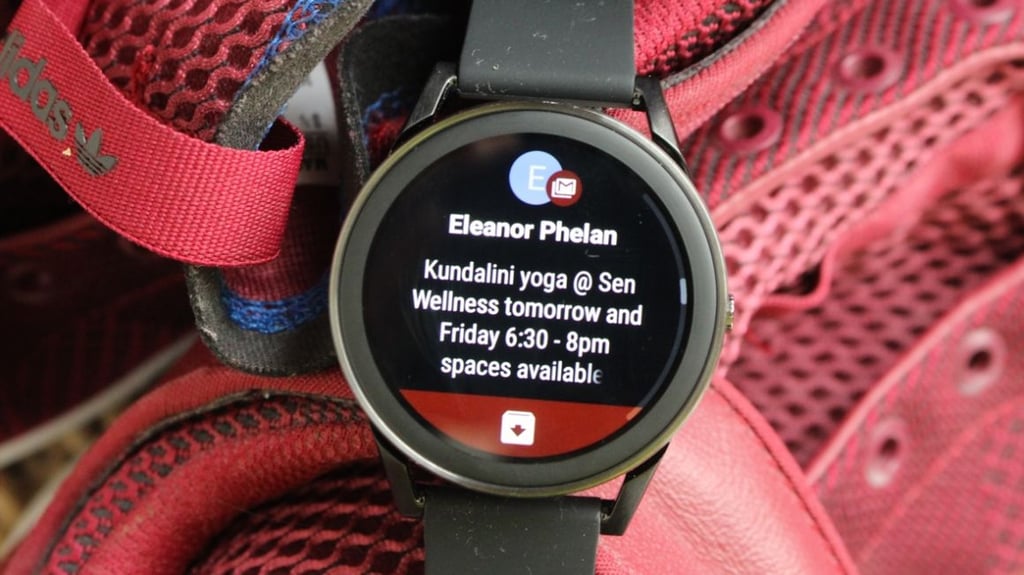 Fossil Q Control review