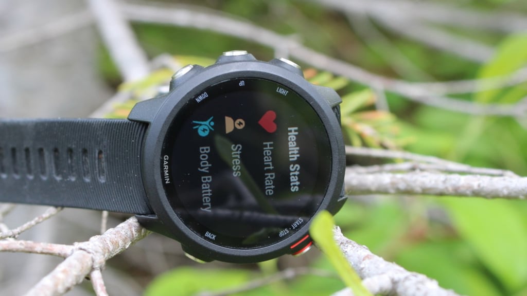 Garmin Forerunner 245 Music review