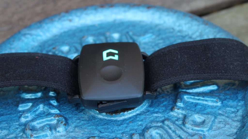GymWatch review