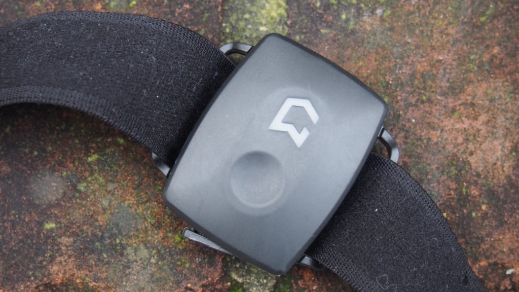 GymWatch review