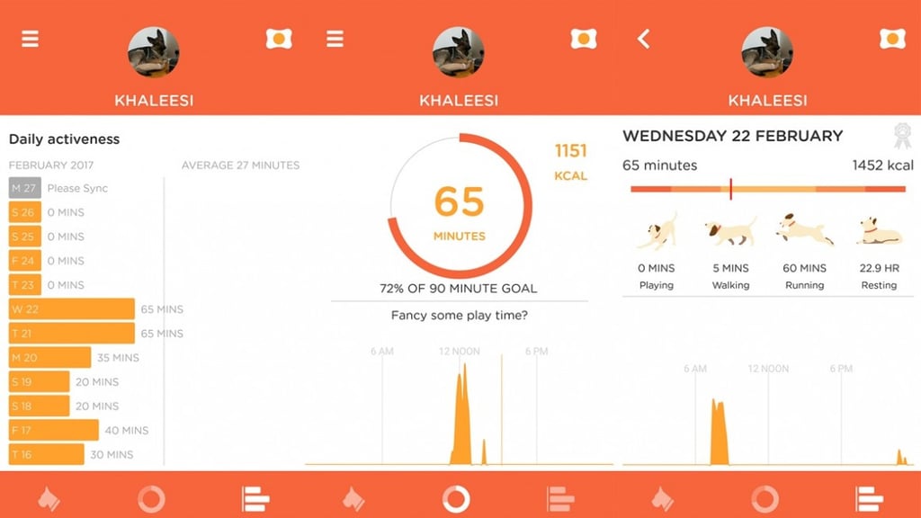 Living with pet wearables: Top trot tracking or barking up the wrong tree?