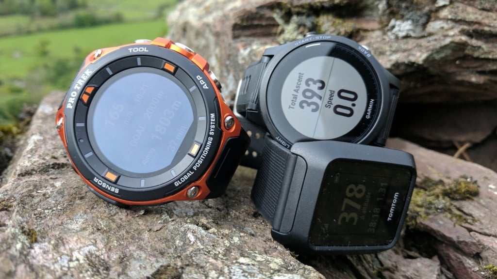 pro-trek-smart-garmin-tomtom-2-1495702534-HzE4-full-width-inline