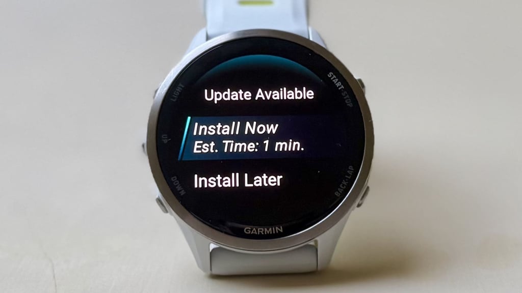 garmin-update-software-option