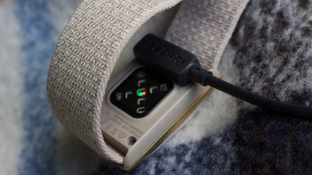 charging port on the polar loop