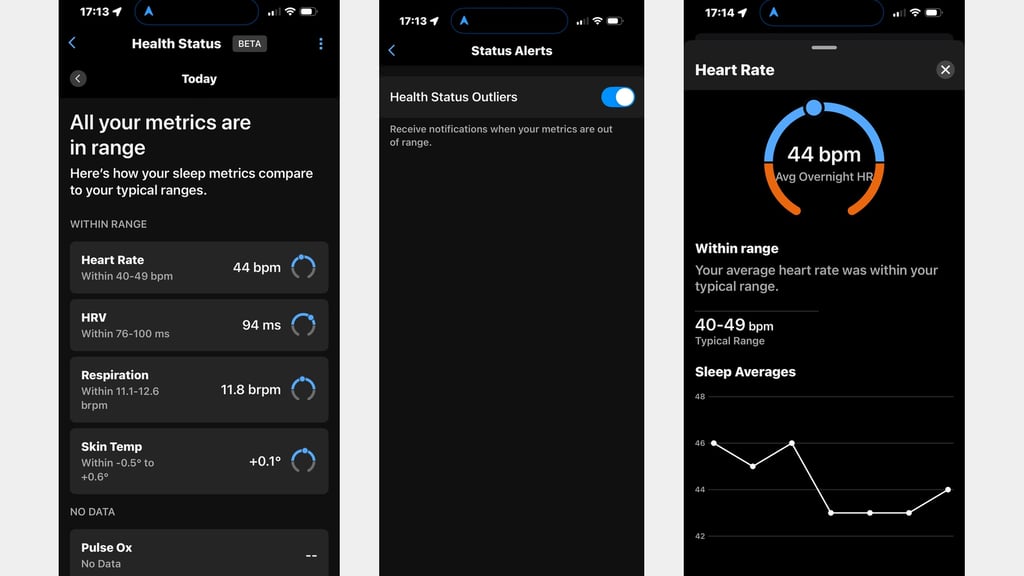 garmin health status