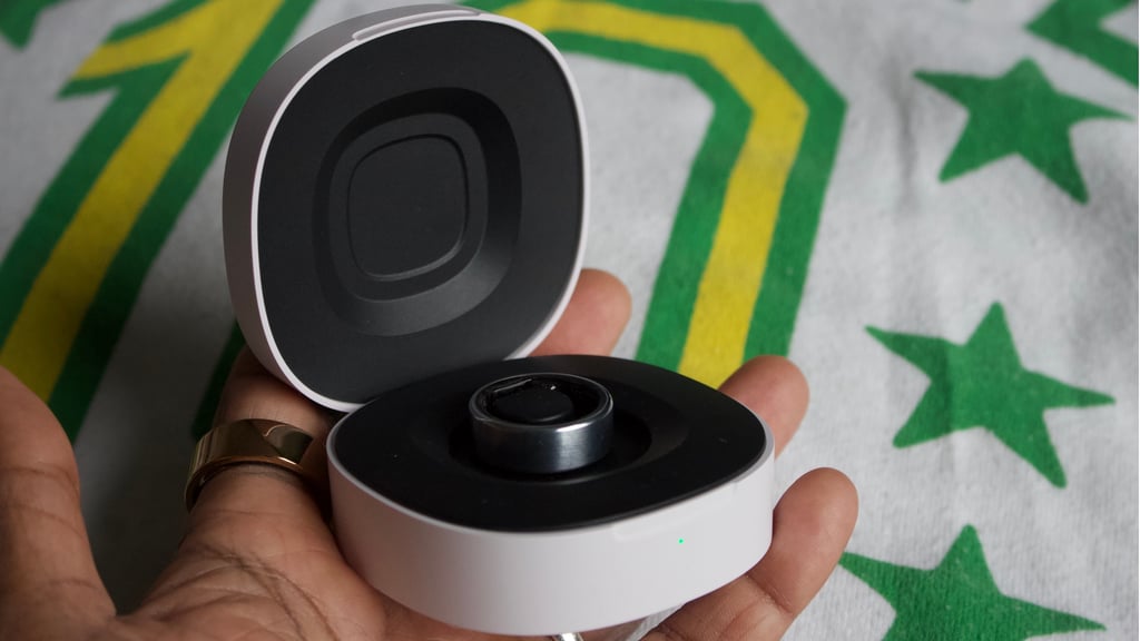 charging case for leep ring 1