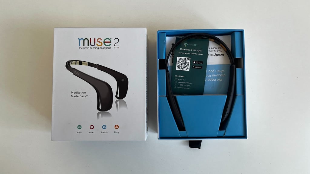 Muse 2 product