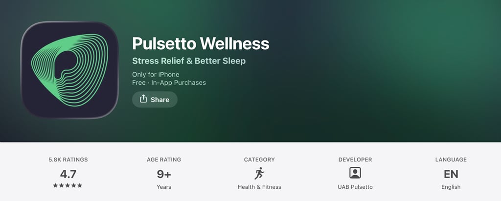 Pulsetto app page
