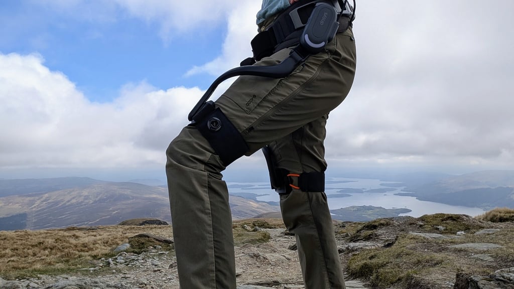 leg loop of dnsys x1