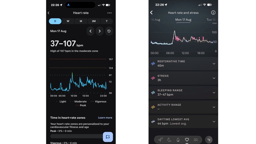 Fitbit Air daily HR data