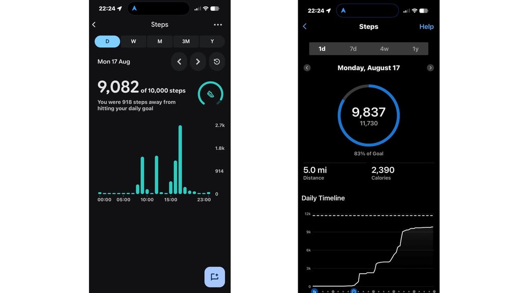 Fitbit Air steps count in  app