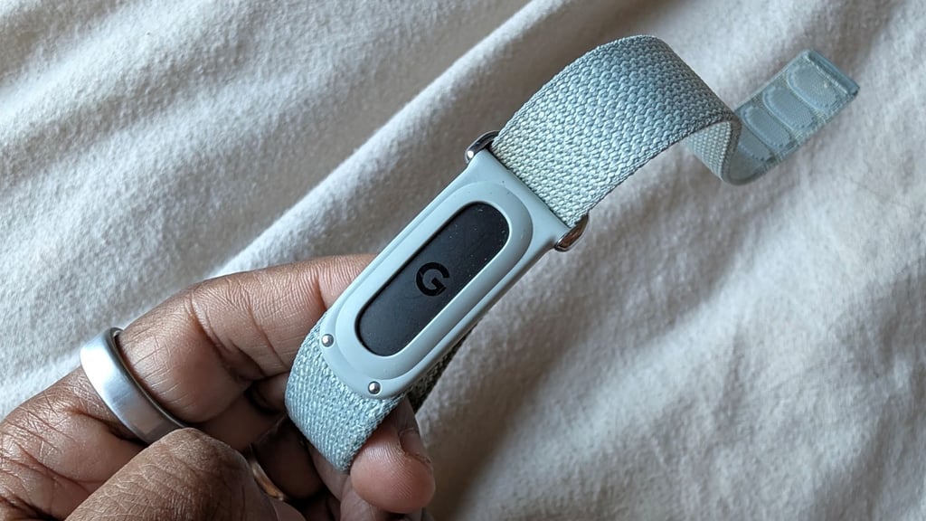 Fitbit Air strap
