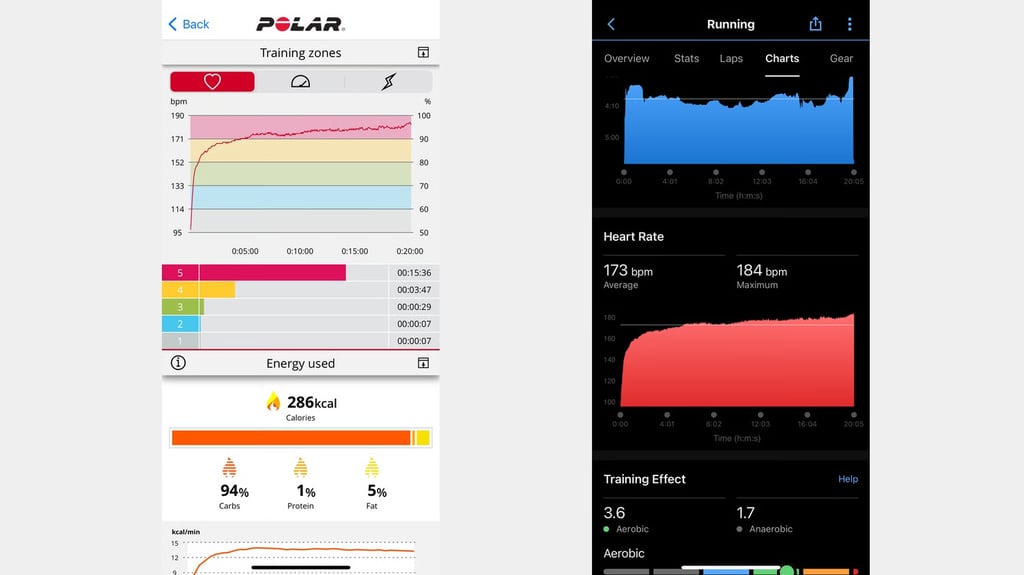 Polar Flow interface