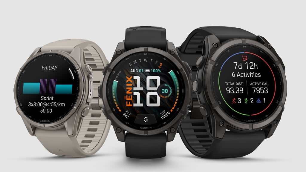 fenix 9 family
