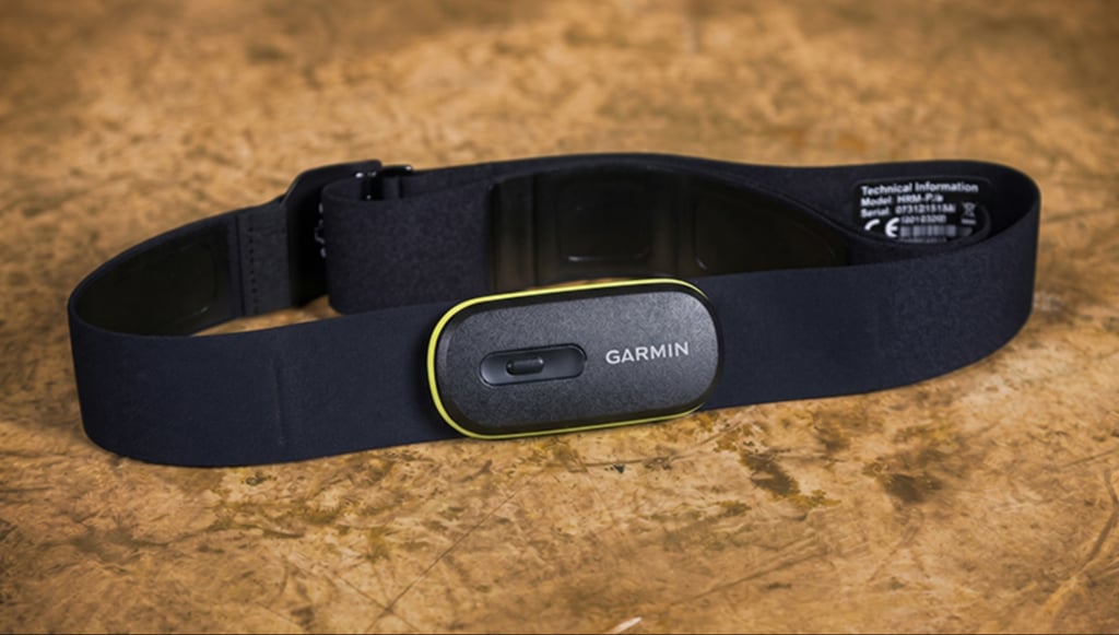 Garmin HRM 600 strap and sensor