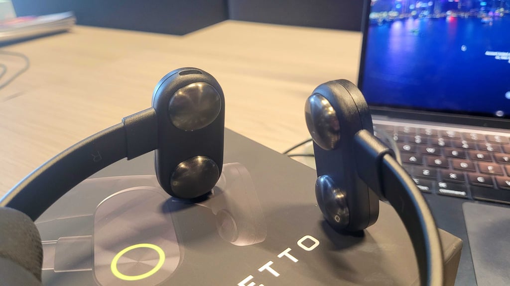 Pulsetto FIT X electrode pads