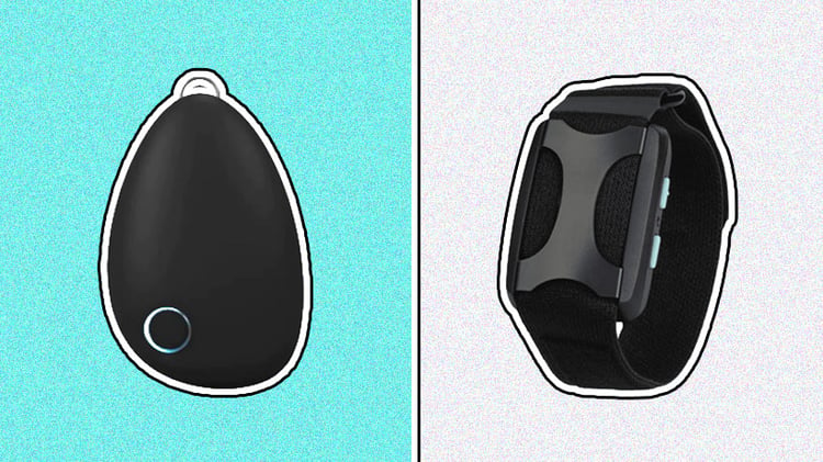 apollo neuro vs sensate
