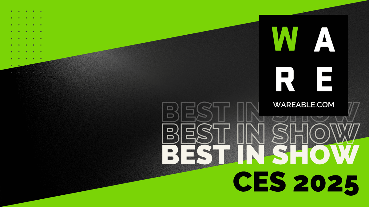 Wareable CES Awards