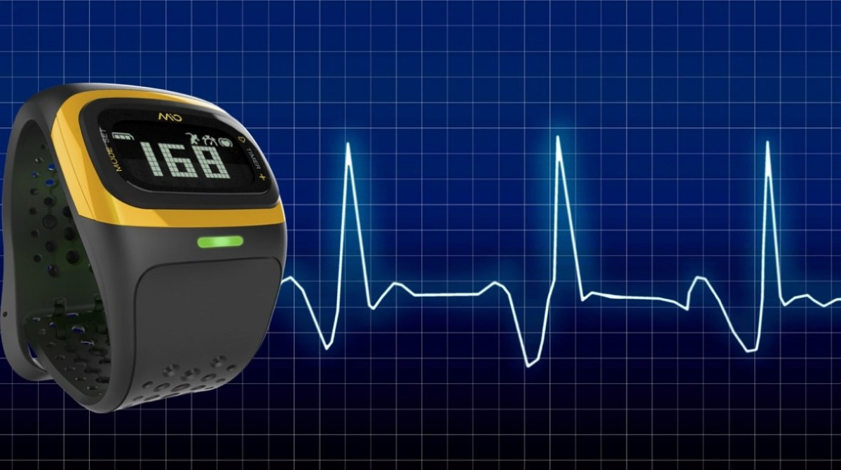 Optical HR accuracy: The experts speak
