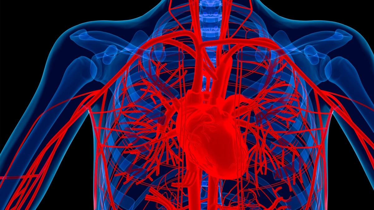 Wearables vs killer diseases: Is technology winning the fight?