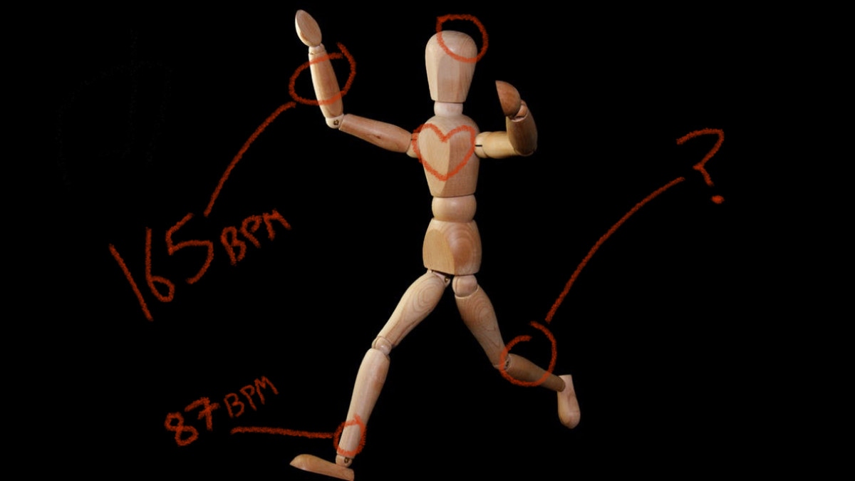 Where’s the best place on your body to track heart rate? We asked the experts