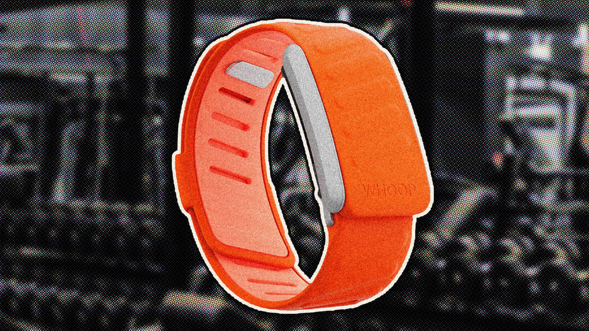 best-wearable-for-gym